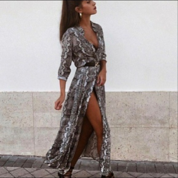 zara animal print maxi dress